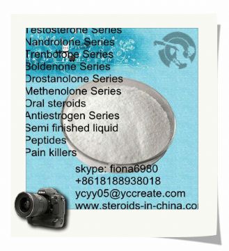 Primobolan Enanthate Homebrew Steroids Methenolone Enanthate Powder